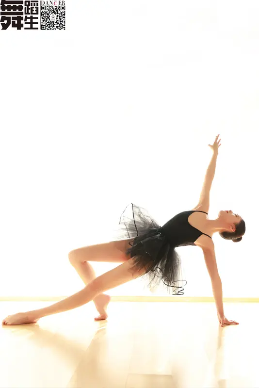 [GALLI嘉丽]舞蹈生日记 116 梦幻 - 舞蹈生日记